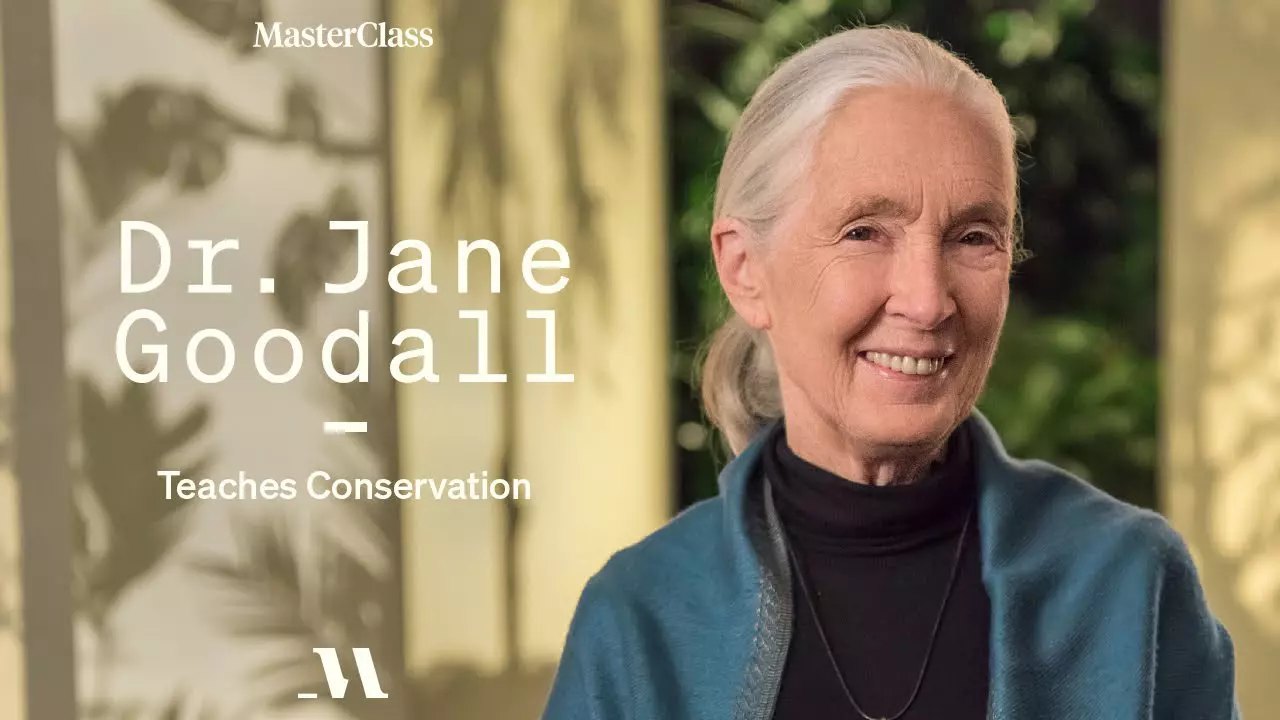 Jane Goodall Masterclass Review 2024 Is It Worth It?